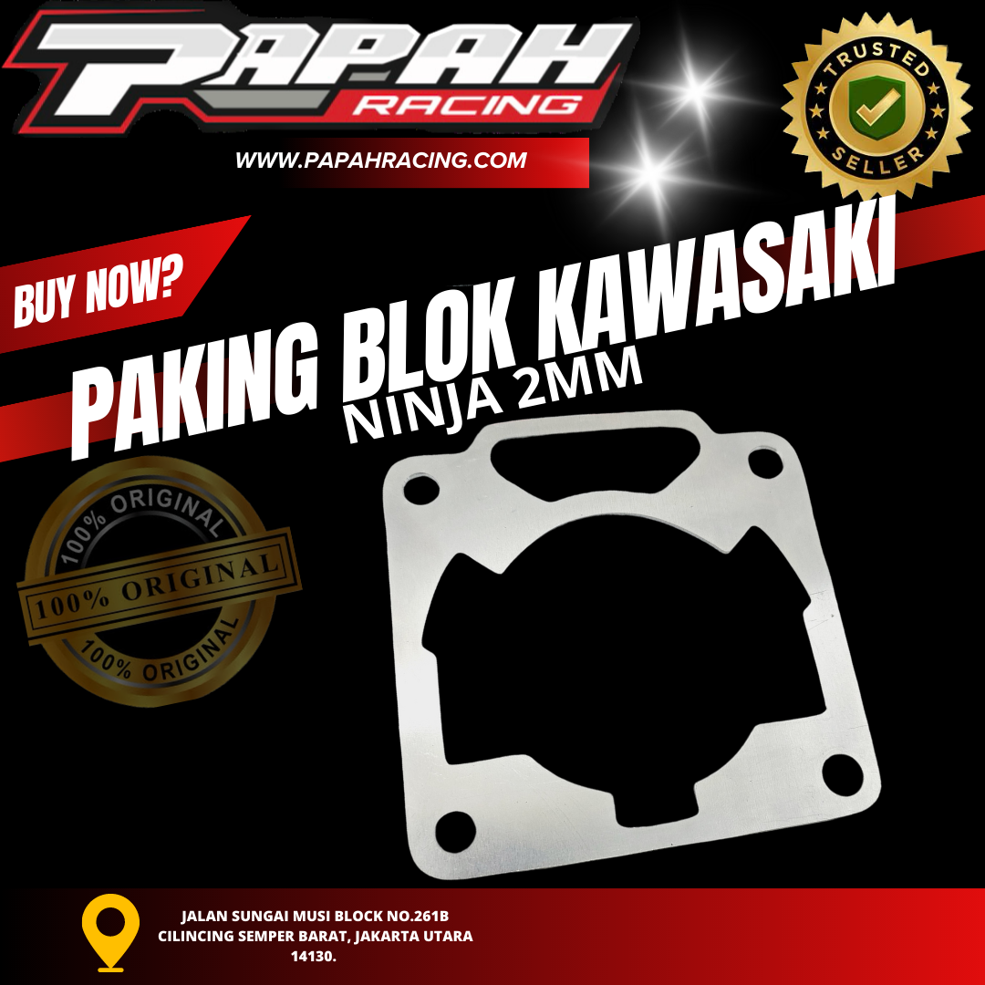 PAKING BLOK KAWASAKI NINJA 2MM 